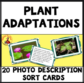 Plant adaptations photo sort cards sciencebysinai.com