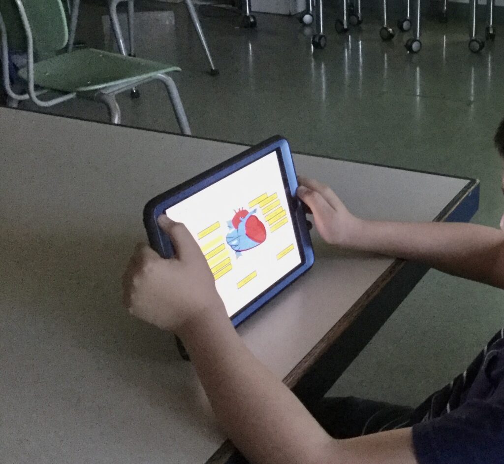 Digital labeling the heart. Middle school heart lessons. Sciencebysinai.com