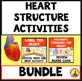 Heart structure activities bundle. Sciencebysinai.com
