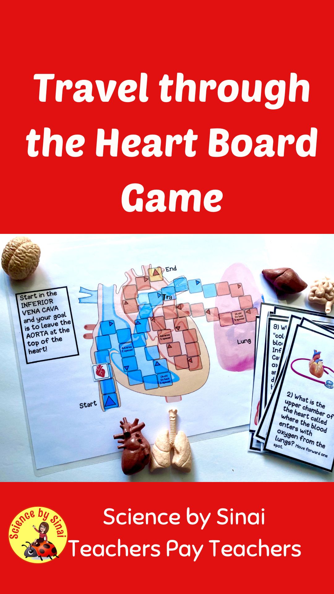 Blood Pathway through the heart BOARD GAME. Middle school heart lessons. sciencebysinai.com