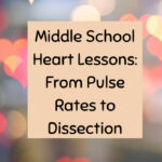 Middle School Heart Lessons: From Pulse Rates to Dissection