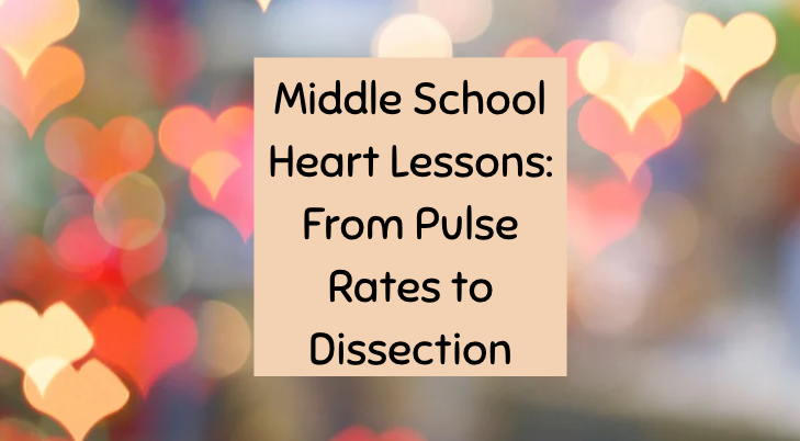 Middle School Heart Lessons: From Pulse Rates to Dissection